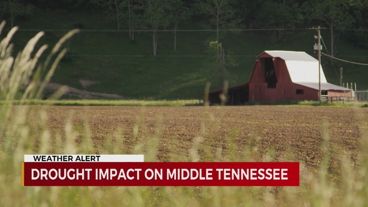 Drought impact on Middle Tennessee - YouTube