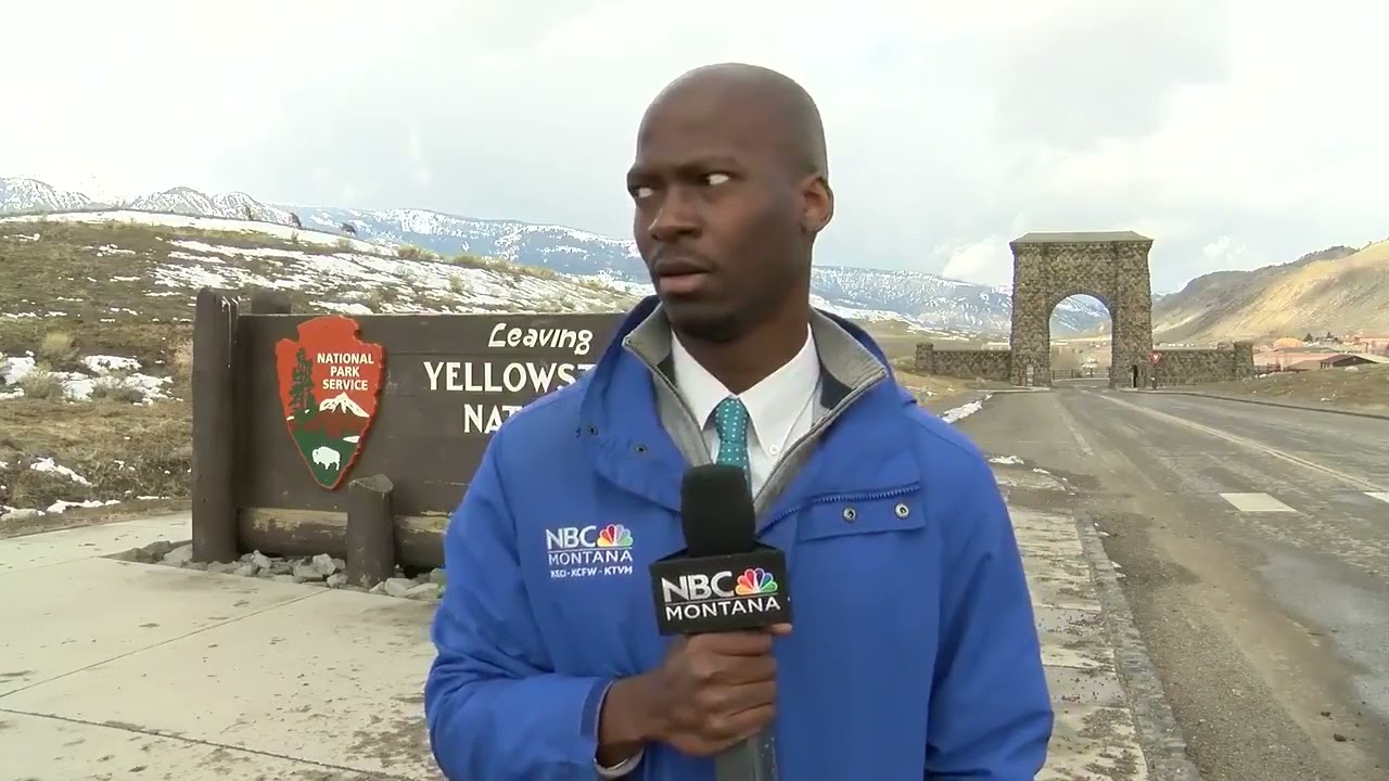 4 YEARS AGO: NBC MONTANA REPORTER ENCOUNTERS HERD OF BISON IN YELLOWSTONE NATIONAL PARK