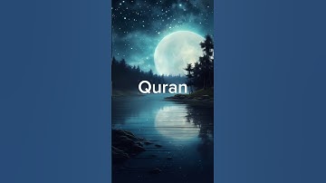 Surah Al-Anaam - سورة الأنعام #surahalanam - #alquran - #القرآن_الكريم - #المصحف