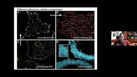 Professor Benjamin Geiger - A microscopy-media... ...