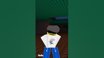 Shedletsky trolls Noob