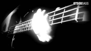 Video thumbnail of "Bass Cover: The Sisters Of Mercy - Vision Thing"
