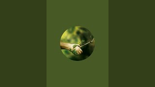 Nature with us is live to play 8 ball pool