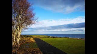 Royal Dornoch Championship Course   7th Hole Construction