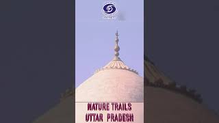 Uttar Pradesh | Nature Trails | Episode - 7 #reels