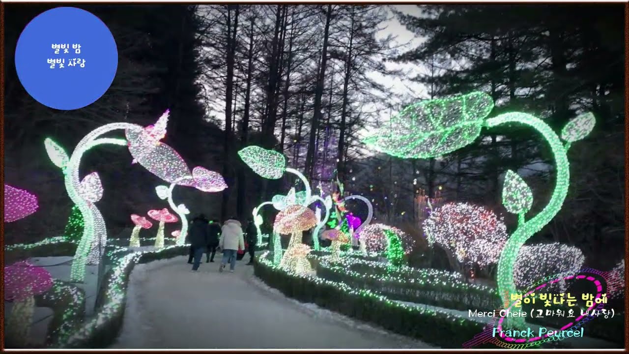 2025 아침고요 수목원 오색별빛정원 축제- 별이 빛나는 밤에 & 별빛같은 나의 사랑아 -Photo By 시니선 & 한국관광공사