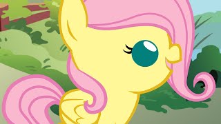 The BEST of Fluttershy - MLP Baby Comic/Animation Compilation