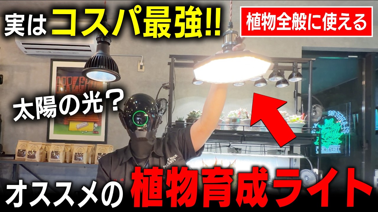Best Value] The Ultimate LED Light for All Plants, Seriously