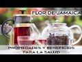 FLOR DE JAMAICA: PROPIEDADES Y BENEFICIOS PARA LA SALUD @andreszapatanutricionista