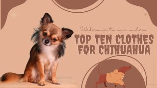 Top ten clothes for Chihuahua |  The 10 Best Clothes for Your Furry Friend | Pet Knowledge Zone #dog by Pet Knowledge Zone 12 views 1 year ago 3 minutes, 28 seconds