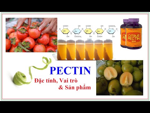 Video: Pectin Là Gì