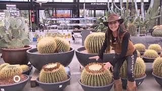 Agrosfera DesertCITY 2025