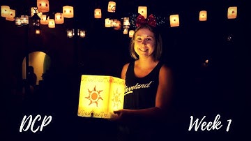 DCP: Week 1 || tarablytarafied