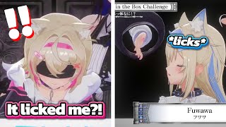 Fuwawa Licked Mococos Finger Out Of Nowhere And Scared The Heck Out Of Her