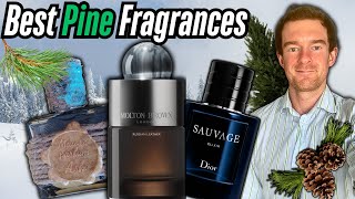Best Pine and Fir Fragrances - Fragrances That Smell Like A Forest