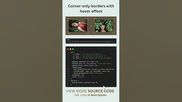 14/100 HTML/CSS/JS Animation: Corner Only Borders With Hover Effect 🤓🤓 #shorts