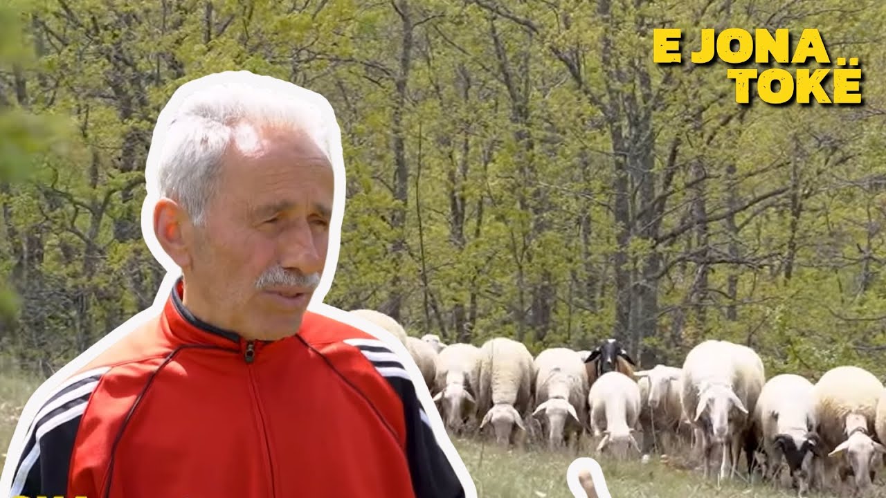 Profesori që ka punuar 38 vite në arsim vendosi të hap fermë të deleve në Kamenicë