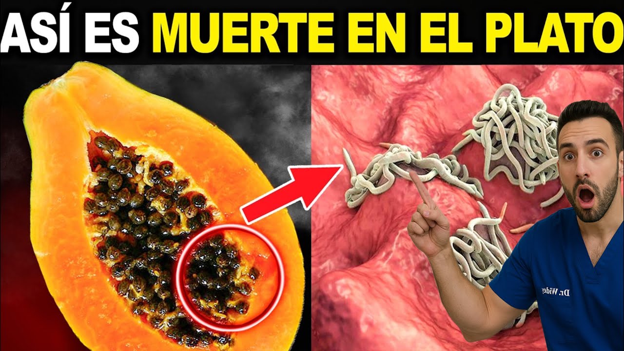 La SEMILLA de Papaya Cuántas comer para rejuvenecer Y Eliminar PARASITOS