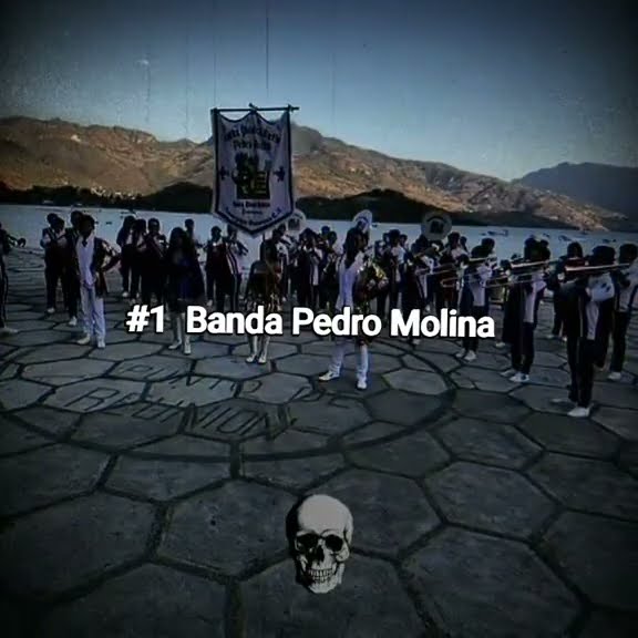 Las 3 Mejores Bandas Musicales de guatemala #pedromolina #shekinahnews #desfile