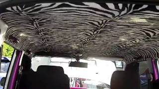 Scikotics Asylum 2011 p6