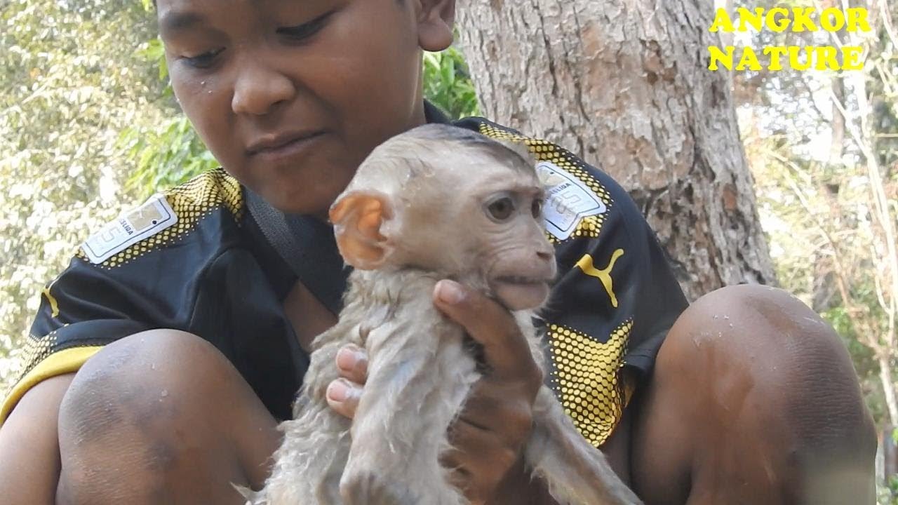 So kind boy! Today he bring abandoned monkey Axel to take bath | Angkor Nature