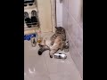لا حدا يعكر مزاجي