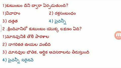 #TET#DSC #EVS #My Family#PRACTICE BITS