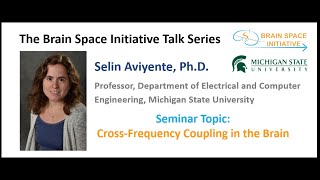 Cross-Frequency Coupling in the Brain