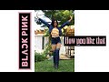 Dance blackpink  how you like that cover