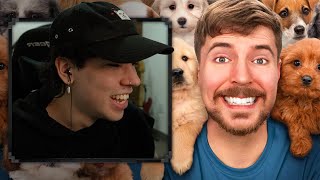 SPREEN REACCIONA A MRBEAST RESCATA 100 PERROS!