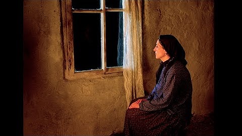 【第27回東京国際映画祭】コンペティション『ナバット』 予告動画