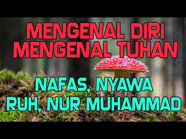 NGAJI  DIRI MENGENAL TUHAN NAFAS NYAWA RUH NUR MUHAMMAD MAKRIFAT TASAWUF class=