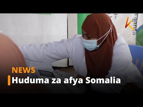 Video: Nini kilitokea kabla ya Lissa? Sehemu ya 1. 