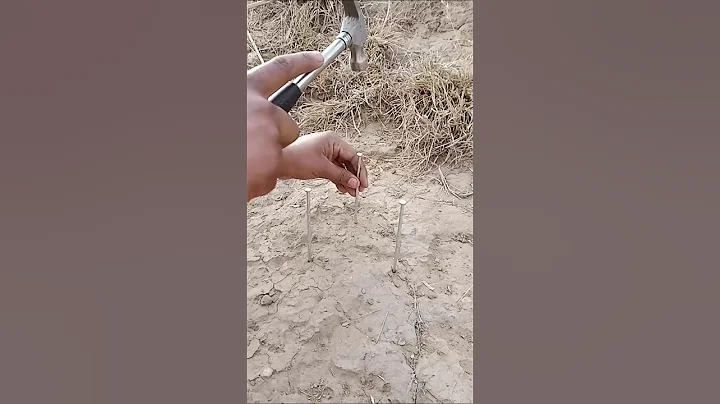 Forest Tea Making in forest | #shorts #short #forest #skills #survival