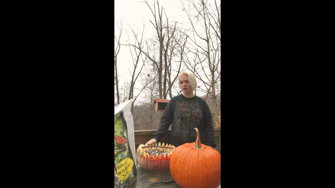 Interpretive guide outdoor presentation