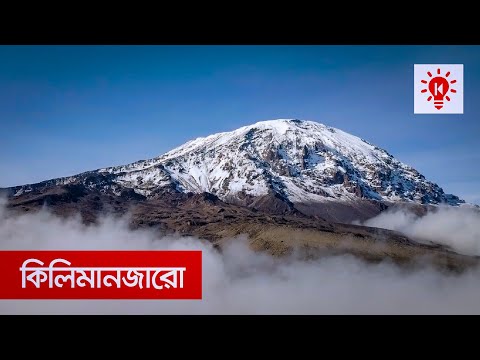 ভিডিও: কেনিয়া, আফ্রিকার পাখি আবিষ্কার করুন