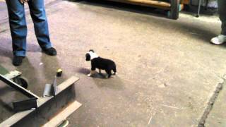 VID 20131010 202540 277