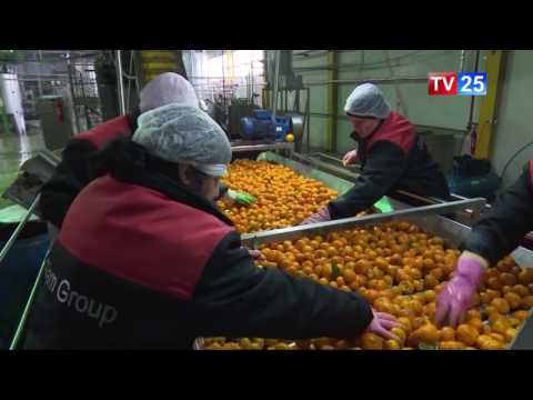 ბიზნეს სექტორის ბრუნვის მოცულობა 15,3 %-ით გაიზარდა