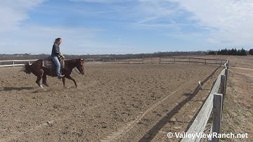 Downtown Dulce - working the flag! - ValleyViewRanch.net