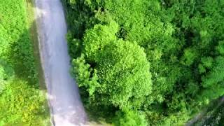 Flying at Newton Ransom