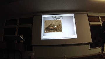 The End of Tortoise Pyramiding