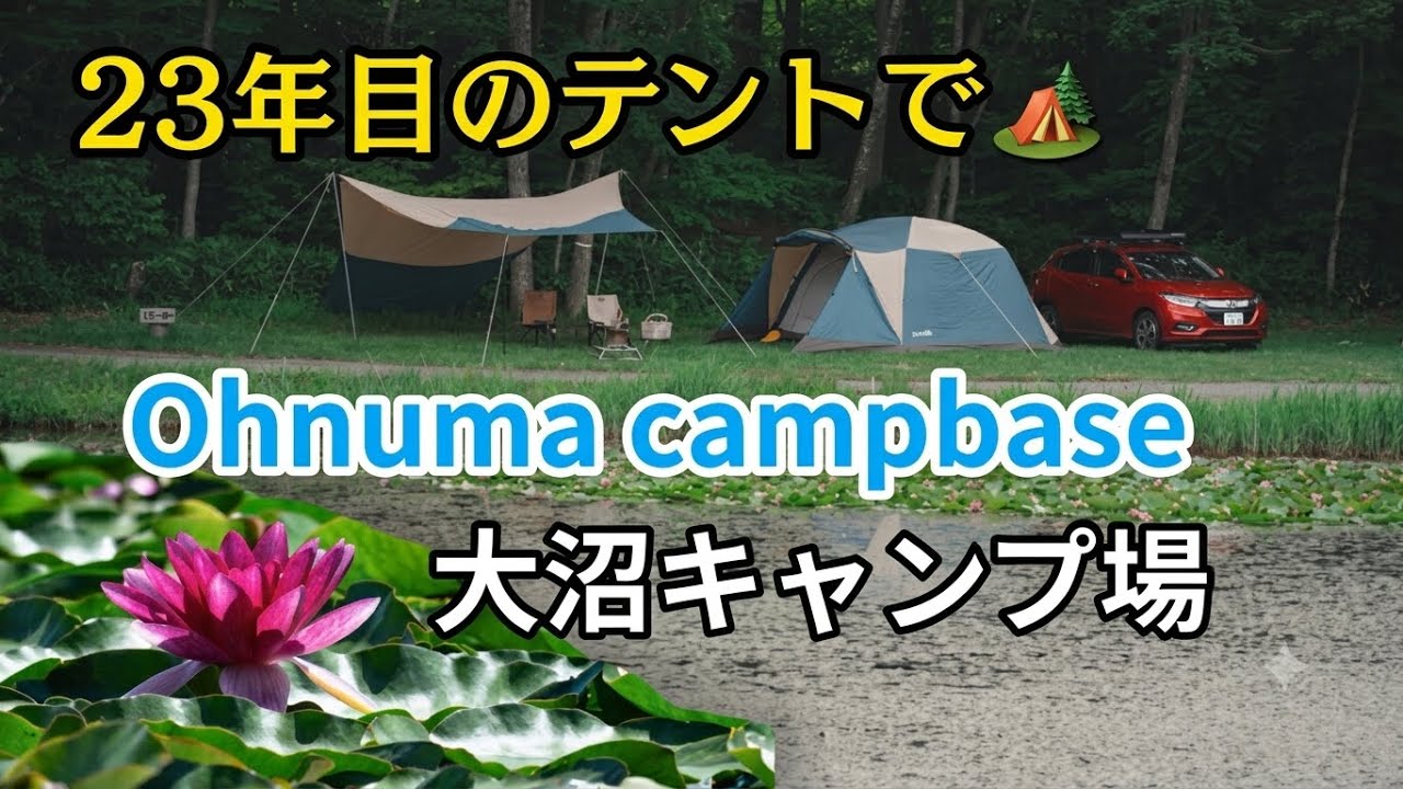 睡蓮が咲く大沼キャンプ場｜23年目のOgawaスクートDX6で絶景キャンプ