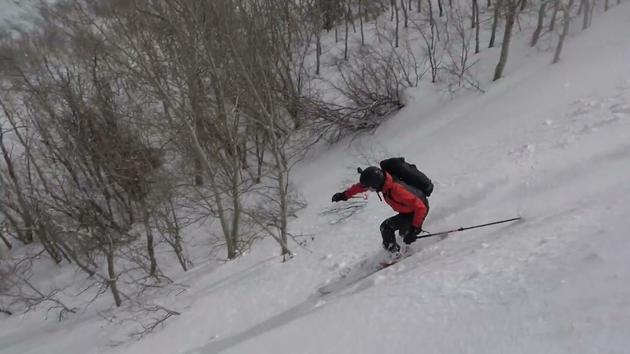 Ruby Mountains - Backcountry & Sleds