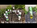 My Top 10 Essential Oils for Locs