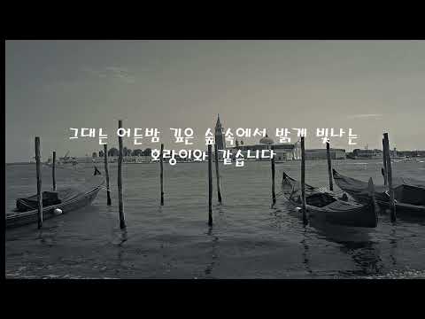 가을에 듣는 노래 Colin Blunstone Tiger In The Night