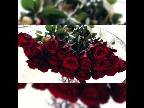 لولا حواء لم تخن أنثى زوجها الشيخ عبد الرزاق البدر