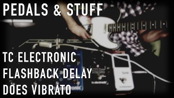 Flashback Delay does modulation part five: VIBRATO | Squier Classic Vibe Custom Tele