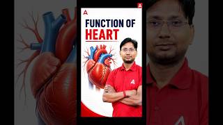 Function of Heart #heart #heartfunction #science #facts #theory #viral #generalscience