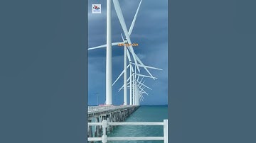 Cánh Đồng Điện Gió Bạc Liêu #dulich #travel #cuongtravel