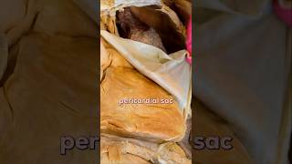 What THC Does the Your Heart